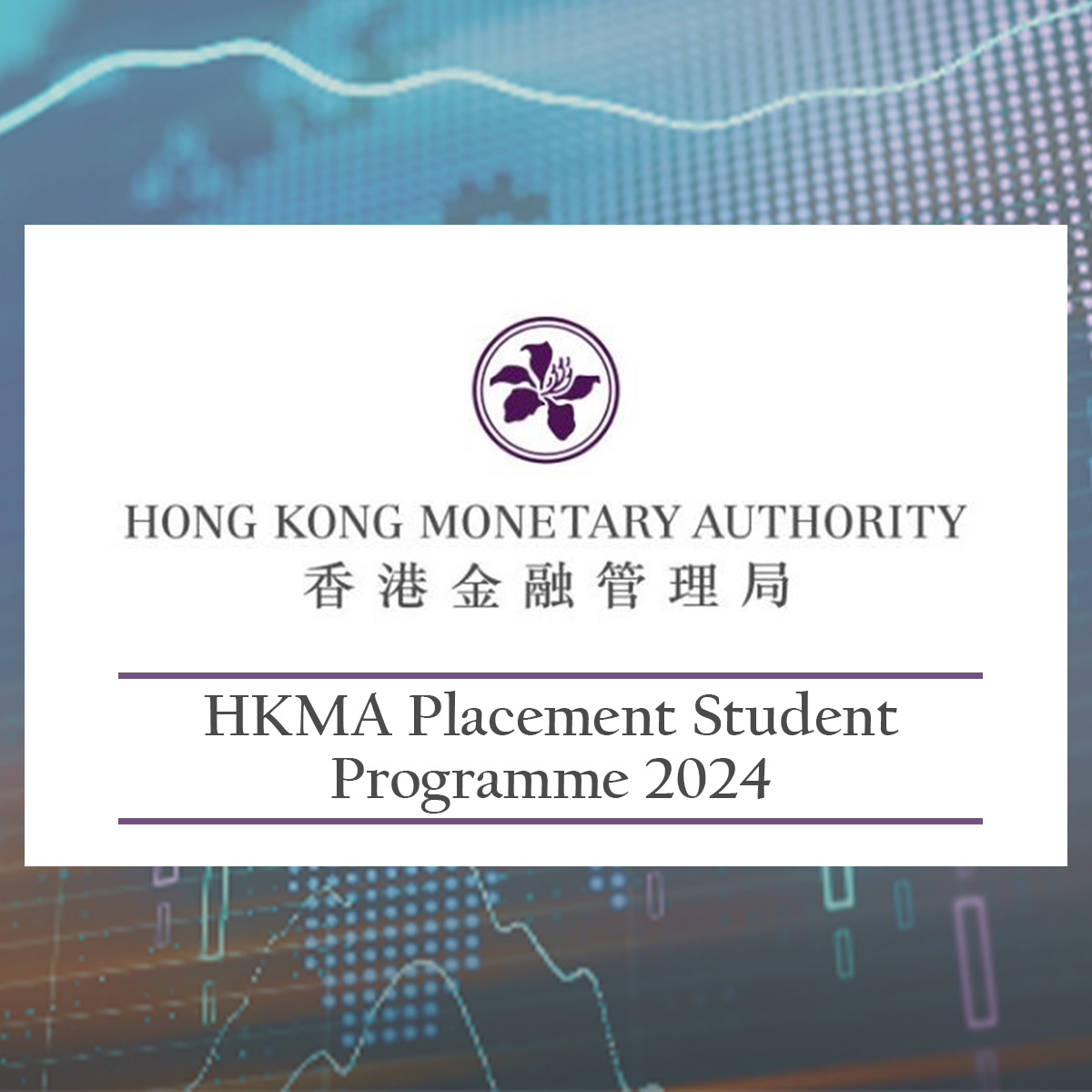 HKMA Placement Student Programme (IT Application Support) 2024-2025